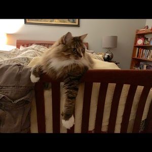 Meet your Posher, Cori